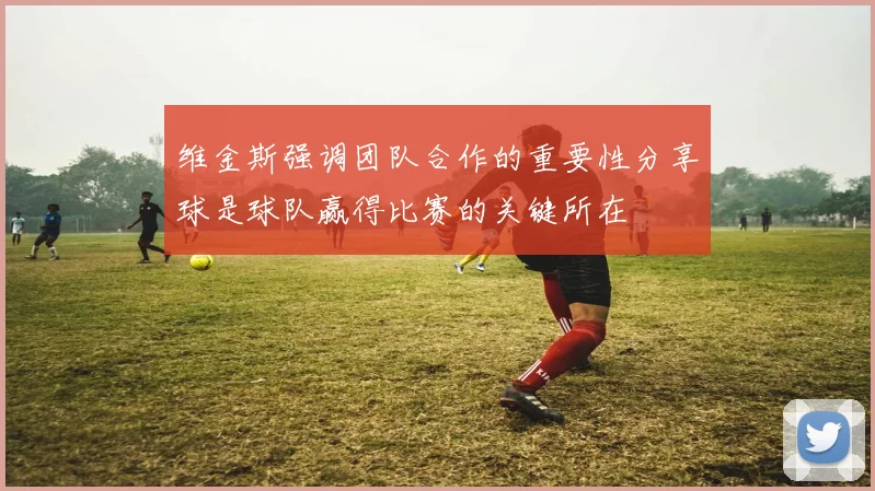维金斯强调团队合作的重要性分享球是球队赢得比赛的关键所在