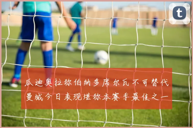 瓜迪奥拉称伯纳多席尔瓦不可替代曼城今日表现堪称本赛季最佳之一
